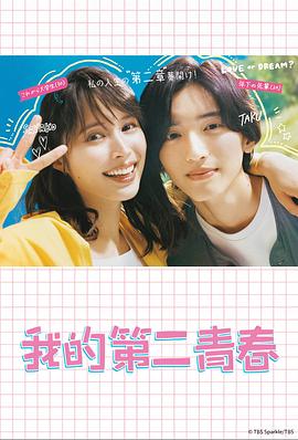 网站每天怎么优化